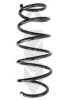 SPIDAN 86994 Coil Spring